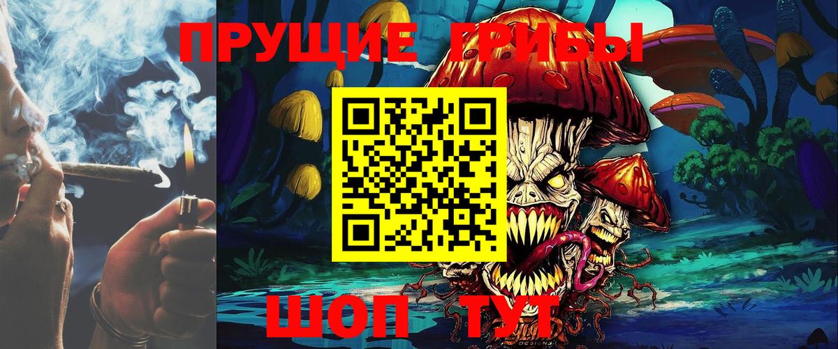 Псилоцибиновые грибы Psilocybe Еманжелинск